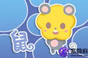 今日生肖相冲查询 2019年7月2日