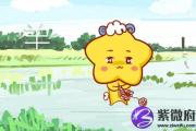 龙和羊婚姻相配吗 属相婚姻配对