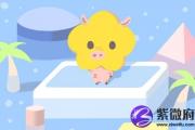 属猪的女人有几次婚姻 属猪择偶观