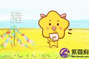 女生1995年出生属猪哪个时辰出生好