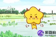 十二生肖与阴阳属性的关系 生肖阴阳怎么分