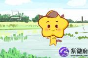 男属羊和女属马婚姻怎么样 合适的一对