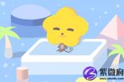 属猪结婚防什么属相的人 最佳配对组合
