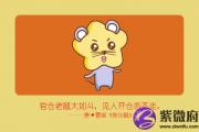 鼠的贵人是什么生肖 影响怎么样