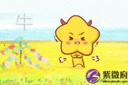 十二生肖今日运势查询 2019年4月25日
