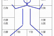 紫微宫位对应身体图