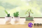 富贵命八字分析 八字火多的是富贵命