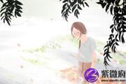 杂气食神格女命详解 杂气食神格女命好吗