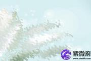 覆灯火命人伤官见官运势解析 会有财运吗