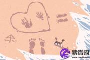 杨柳木命命中带食伤吗 运势如何