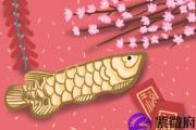 海中金命命中带食伤吗 运势如何