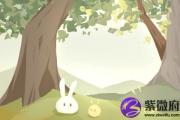 劫财格的人性格如何事业运如何
