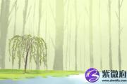 桑柘木命的人适不适合当官