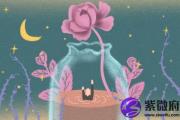 金鼠年和木猪年哪年出生的孩子更好