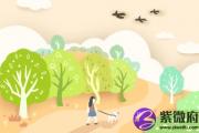 八字出现正财 八字正财是什么意思