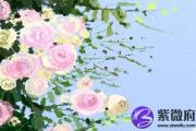 八字全阳女不一般 为何有此说法