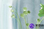 2019年杨柳木命缺什么怎么补