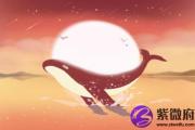 天上火命和天上火命的婚姻