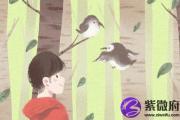 水命人忌讳什么颜色 水命人穿衣颜色