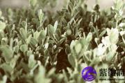 涧下水和路旁土配吗 涧下水和路旁土婚姻如何？