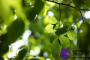 大溪水适合做什么行业？大溪水适合的行业