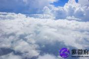 己酉日生于申月解析 己酉日生于申月命运好吗