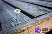 杨柳木幸运数字 杨柳木的吉祥数字