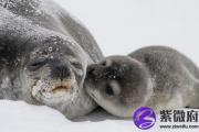 长流水缺木 长流水命五行缺木怎么办