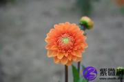 壁上土缺火 壁上土命五行缺火怎么办