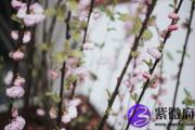 天河水缺火 天河水命五行缺火怎么办