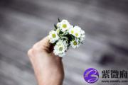 霹雳火和路旁土配吗 霹雳火和路旁土婚姻如何？