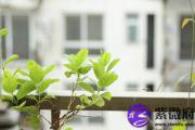 泉中水和覆灯火配吗 泉中水和覆灯火婚姻如何？