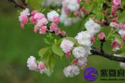 天河水幸运数字 天河水的吉祥数字