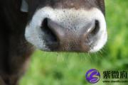 涧下水命住几楼好 涧下水命选择房子住几层最好