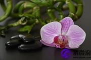 什么命克霹雳火命 霹雳火怕什么