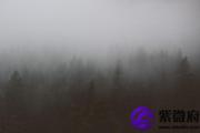 庚子日与丁巳日配吗 庚子日柱与丁巳日柱是否适合