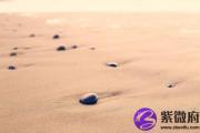 辛卯日与辛亥日配吗 辛卯日柱与辛亥日柱是否适合
