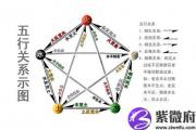 四柱预测排盘要怎么排盘？