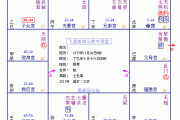 紫微斗数看术数天分