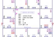命太阳忌入事业 命盘实例