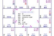紫微斗数讲解高官的命盘