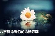 八字算命看你的命运强弱 - 八字强弱鉴定法