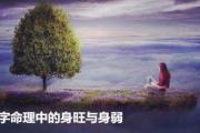 八字命理中的身旺与身弱