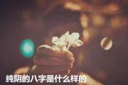 纯阴的八字是什么样的 - 八字纯阴的查询法