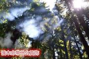 饿木命带什么首饰