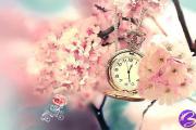 八字合婚：如何知道你与另一半是否相合