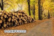木命是哪年出生的 - 木命的分类详解