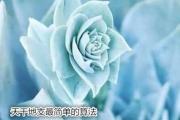 天干地支最简单的算法