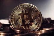 金命适合做什么行业
