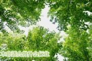 木命适合做什么行业